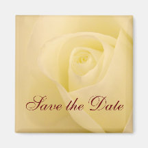 Klassische weiße BrautRose Save the Date Kühlschrankmagnet