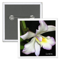 Klassische weiße Orchidee Button