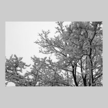Klebriger Schnee poster