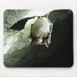 Kleine braune Fledermaus beeinflußt durch Weiß-Nas Mousepads