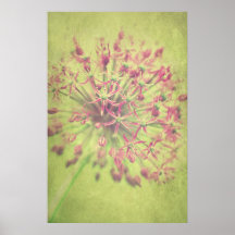 Kleine Sterne Posters