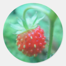 Kleine Walderdbeere Sticker