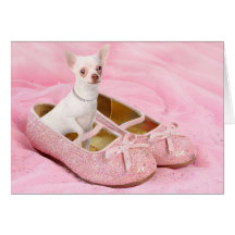 Kleiner Chihuahua in den rosa girly Schuhen mit Gl Karte