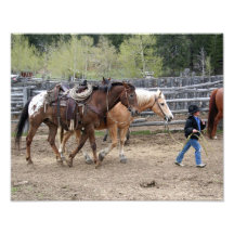 Kleiner Cowboy-führende Pferde 11x14 Fotodrucke