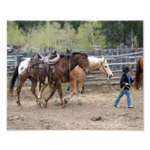 Kleiner Cowboy-führende Pferde 8x10 Photodrucke