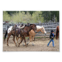 Kleiner Cowboy-führendes Pferde12x18 Photographien