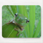 Kleiner Frosch Mousepads