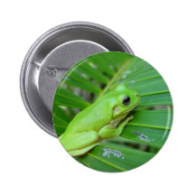 Kleiner grüner Frosch Anstecknadel