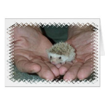 Kleiner Igel in zwei Händen Grußkarte