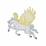 Kleiner Pegasus Kapuzenpulli