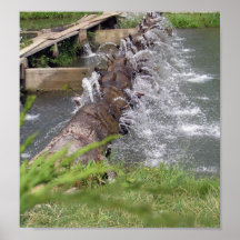 Kleiner Wasserfall Plakatdruck