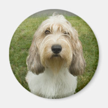 Kleines Basette Griffon Vendeen Kühlschrankmagnet