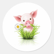 Kleines rosa Schwein im Gras Aufkleber