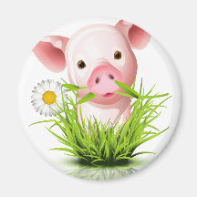 Kleines rosa Schwein im Gras Magnete
