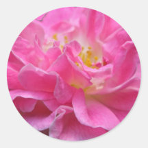 Kletternder Rosen-Aufkleber