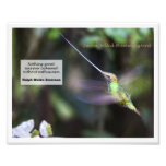Klinge-berechneter Kolibri Kunst Photo