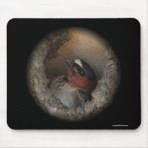 Klippen-Schwalbe Mousepad