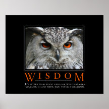 Klugheit Demotivational Plakat