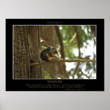 KLUGHEIT Eichhörnchen-Plakat