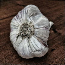 Knoblauchfoto Photo Figur