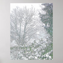 Knochen des Winters Poster