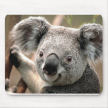 Koala-Fieber-Mausunterlage Mousepad