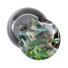 Koala-Fotografie-Knopf Anstecknadelbuttons