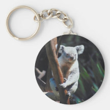 Koala in einem Baum.  Keychain Schlüsselbänder
