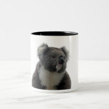 Koala Kaffeetassen
