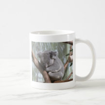 Koalabär Kaffeehaferl