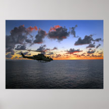 Kobra-Sonnenuntergang Poster