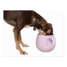 Koffeinsucht Postkarten