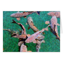 Koi Fisch-Gruß-Karte