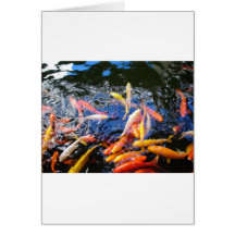Koi Goldfisch Kona Hawaii Karten