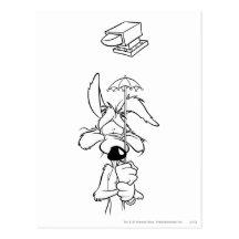 Kojote-Gipfel-Produkte des Wile-E Postkarte