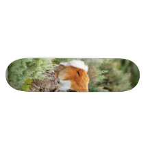 Kojote und Antilope in Yellowstone-Park Personalisiertes Deck