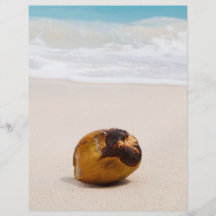Kokosnuss auf einem tropischen Strand Flyer