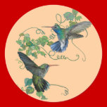 Kolibri-Flug aufkleber