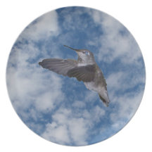 Kolibri im blauen Himmel Flacher Teller