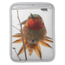 Kolibri-Vogel iPad Hülse Sleeves Für iPads