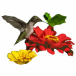 Kolibri-Weihnachtshängendes Acryl Foto Skulpturen