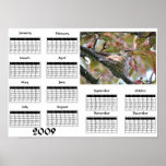 Kolibrimutter auf Nest - Kalender 2009 Plakatdrucke