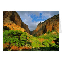 Kolob Schlucht an Zion Schlucht in Zion Staatsange Karten