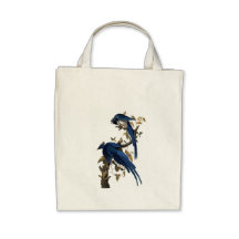 Kolumbien-Jay durch John James Audubon Taschen