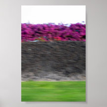 kona Farben Plakatdrucke