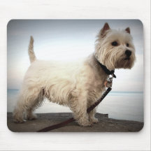 König Barko Mousepads