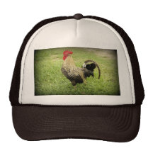 König des Bauernhofes Retrokult Cap