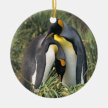 König-Pinguine Liebhaber Weinachtsornamente