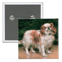 Königcharles Spaniel, 1907 Anstecknadelbutton