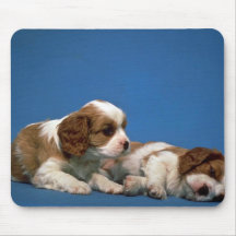 Königcharles Spanielwelpen Mousepad